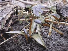 ������������� ���� (23417!!.jpg, 113015 ����, ������: 893 ����)